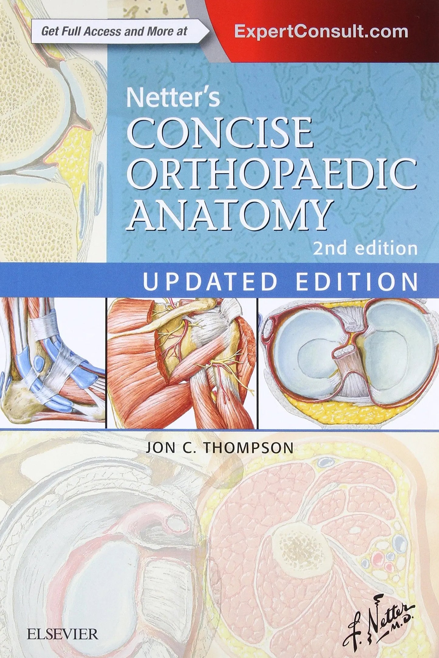 Netter's Concise Orthopaedic Anatomy, Updated Edition