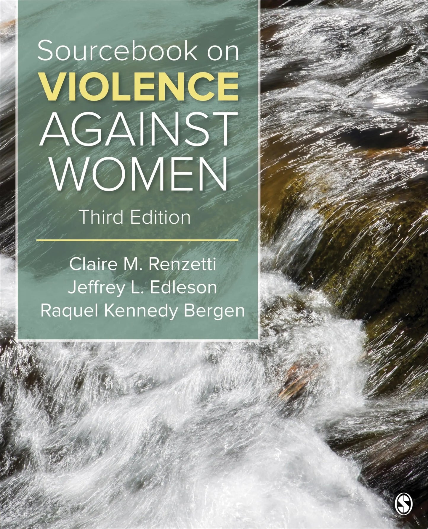 Sourcebook on Violence Against Women by Claire M. Renzetti – book cover