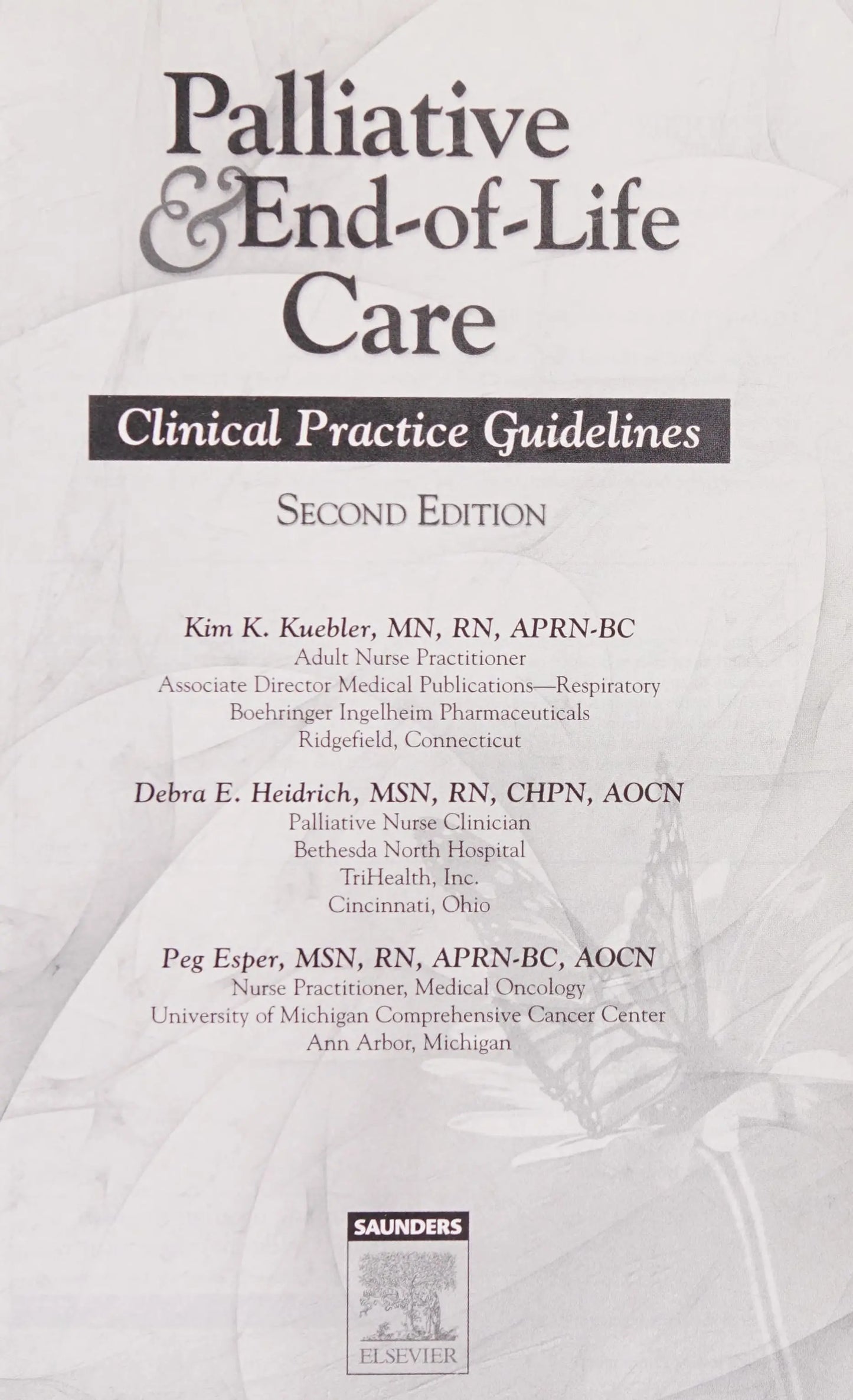Palliative and End-of-Life Care Clinical Practice Guidelines by Kim K. Kuebler – book cover