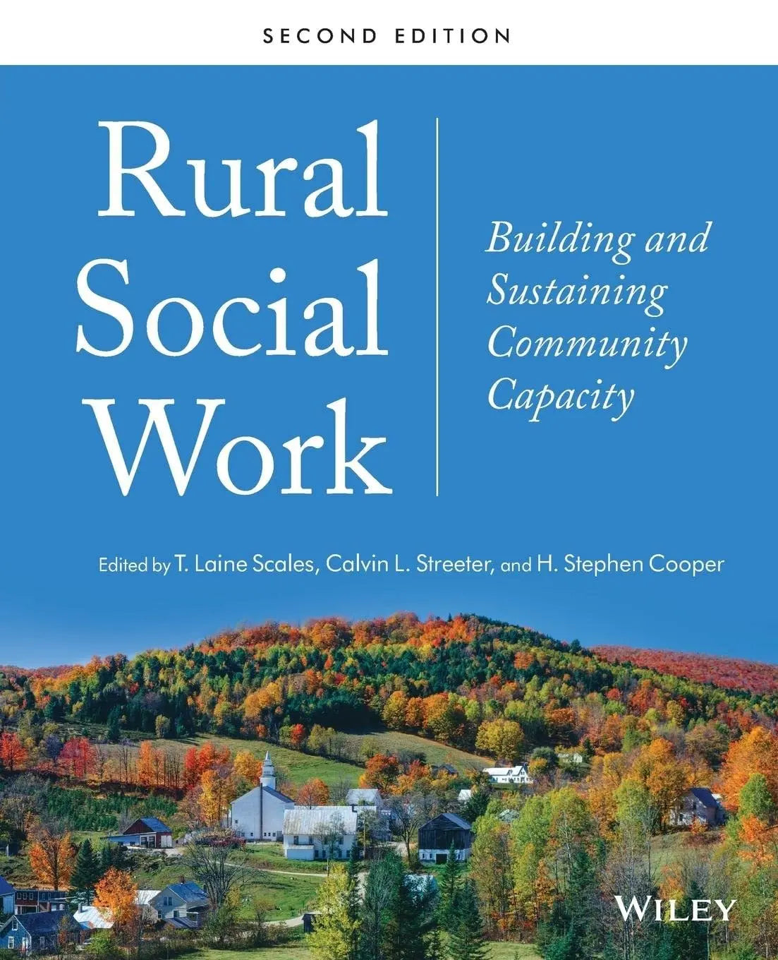 Rural Social Work Building and Sustaining Community Capacity by T. Laine Scales – book cover