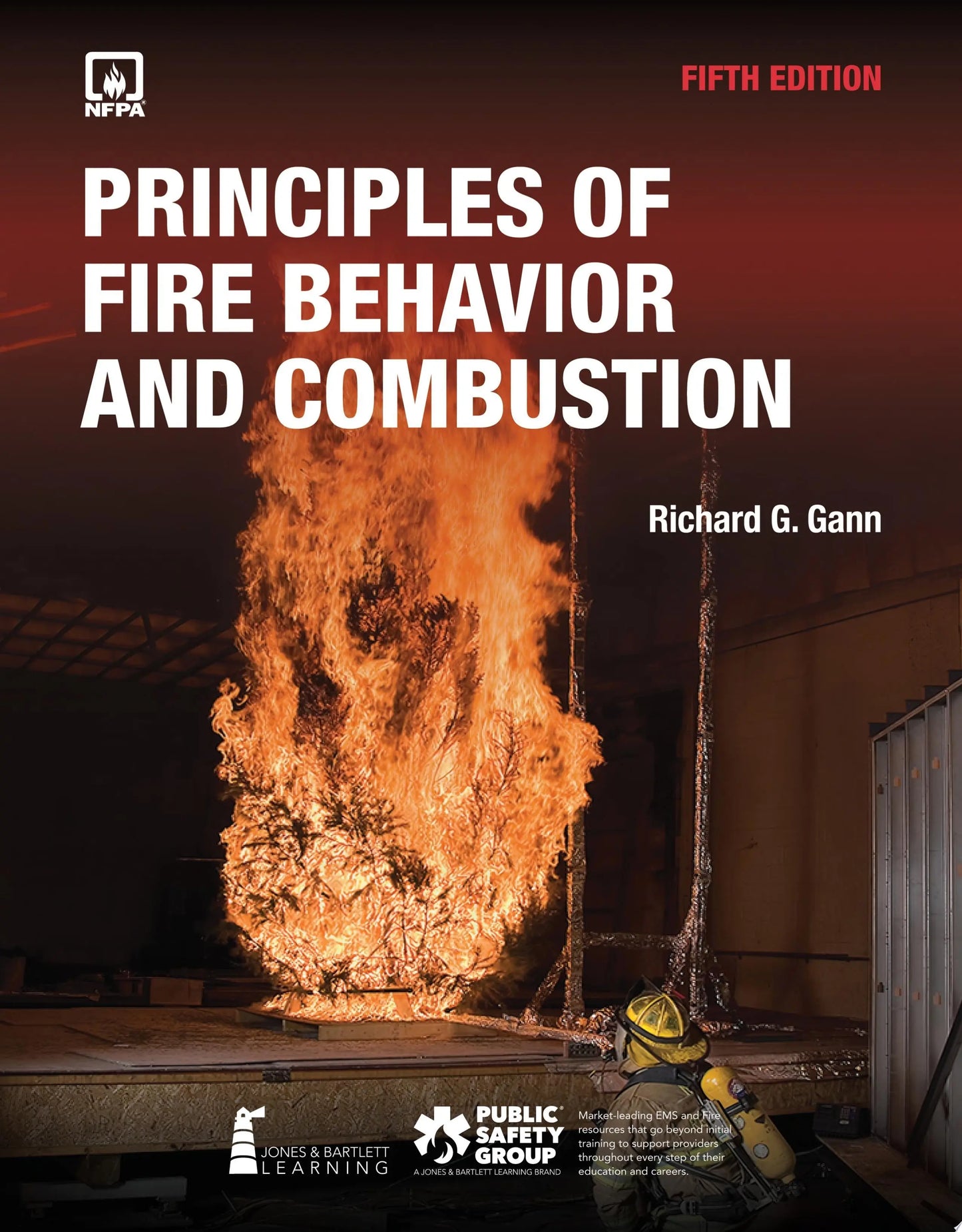 Principles of Fire Behavior and Combustion with Advantage Access by Richard Gann – book cover