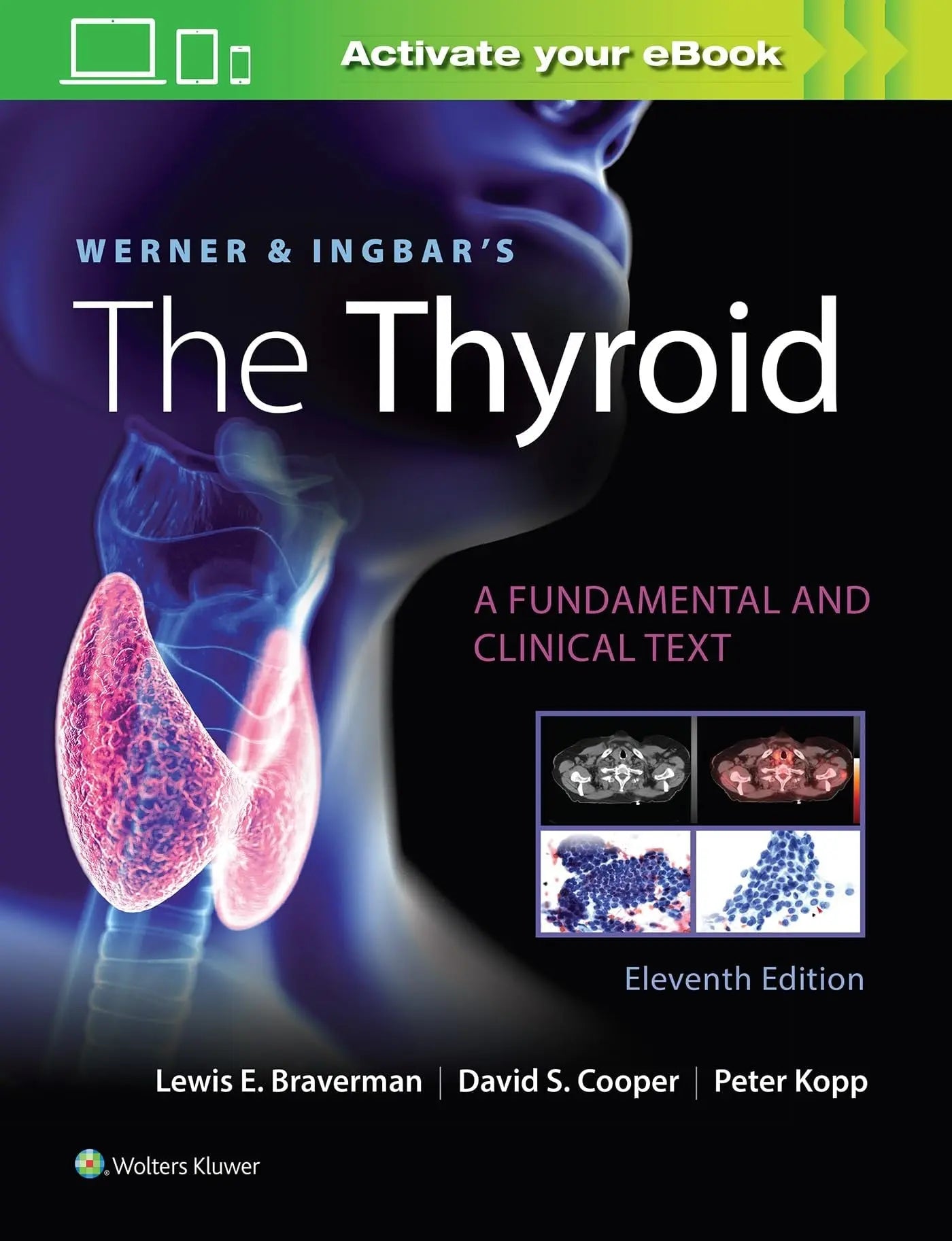 Werner and Ingbar's the Thyroid by Lewis E. Braverman – book cover