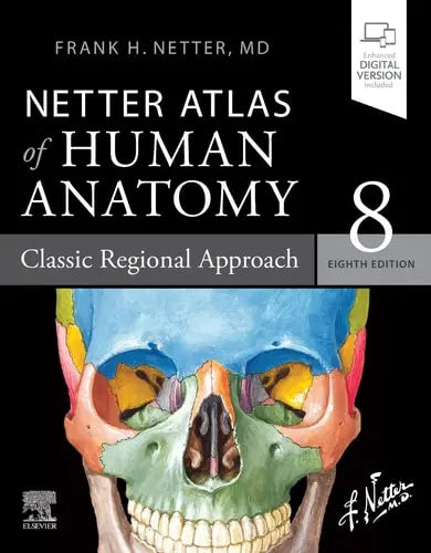 Netter Atlas of Human Anatomy Classic Regional Approach Elsevier