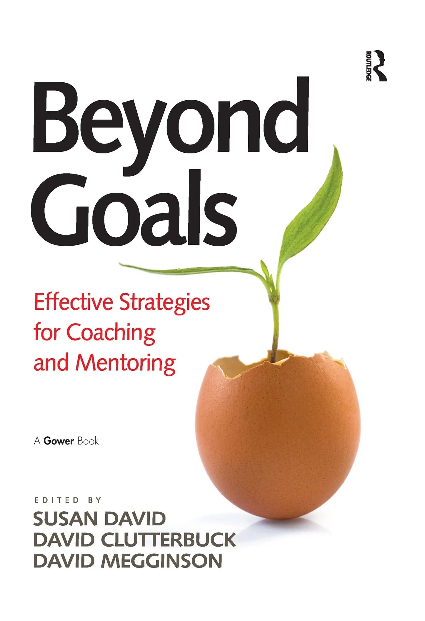 Beyond Goals Effective Strategies for Coaching and Mentoring by Susan David – book cover