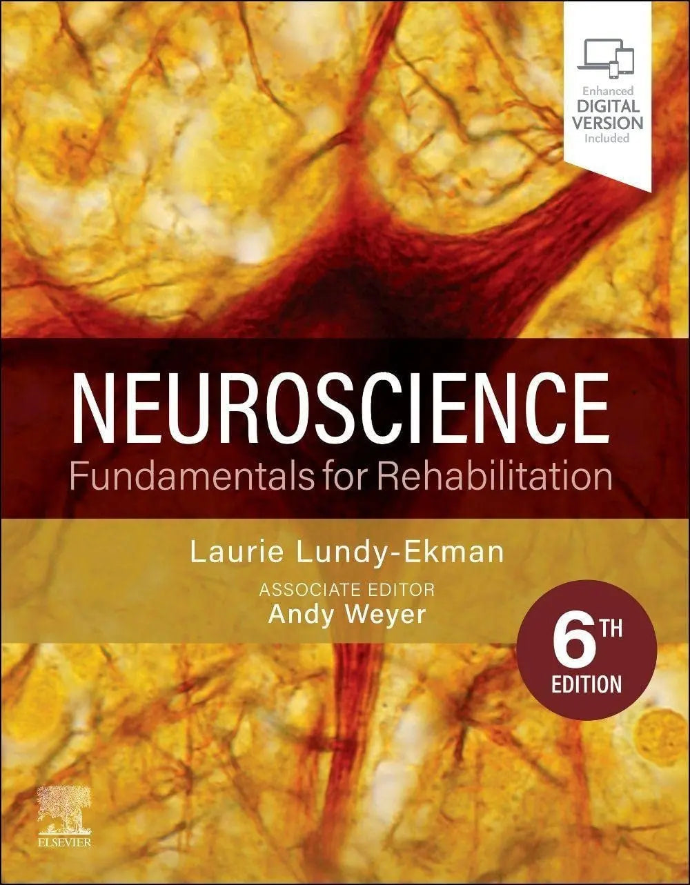 Neuroscience Fundamentals for Rehabilitation by Laurie Lundy-Ekman – book cover