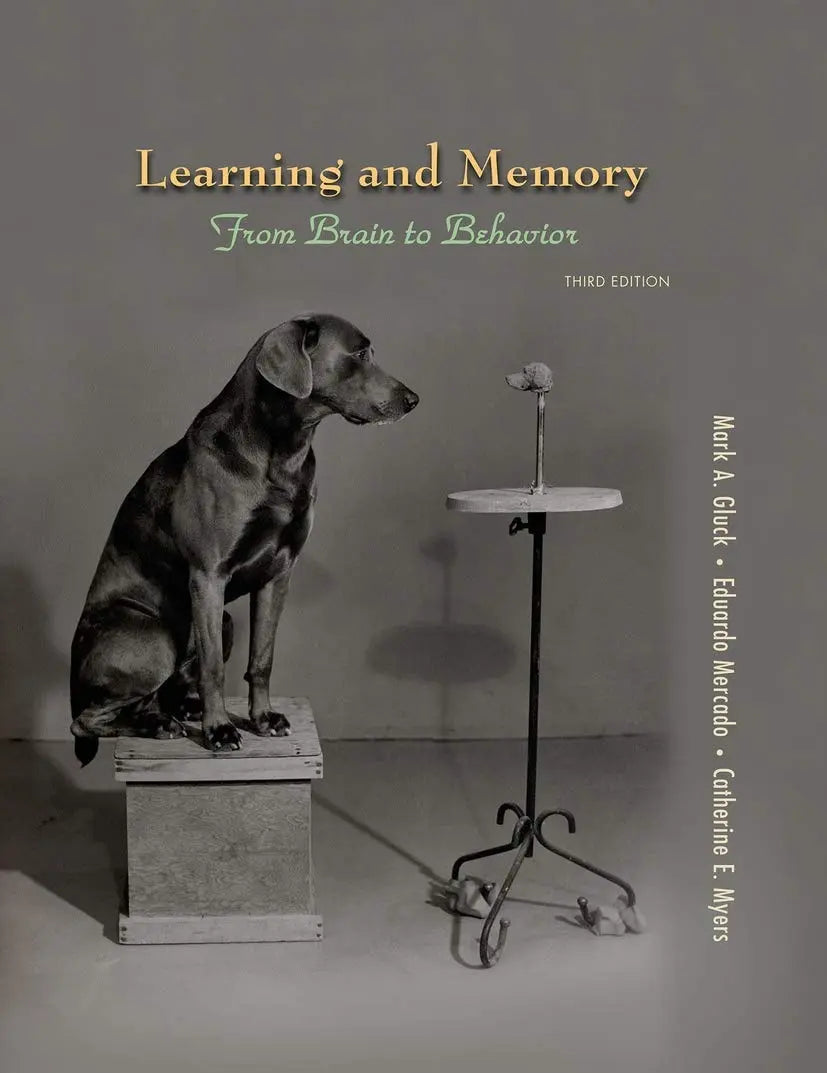 Learning and Memory by Mark A. Gluck – book cover