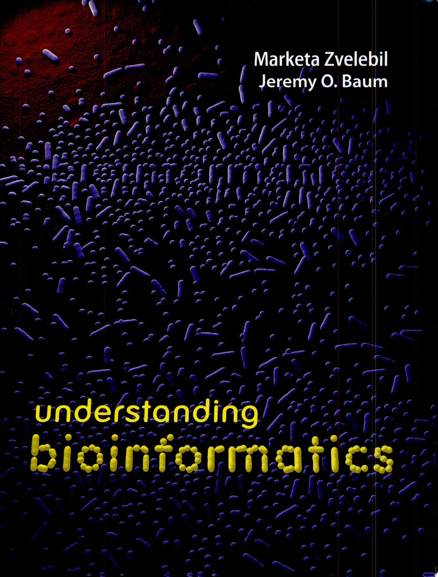 Understanding Bioinformatics by Marketa J. Zvelebil – book cover