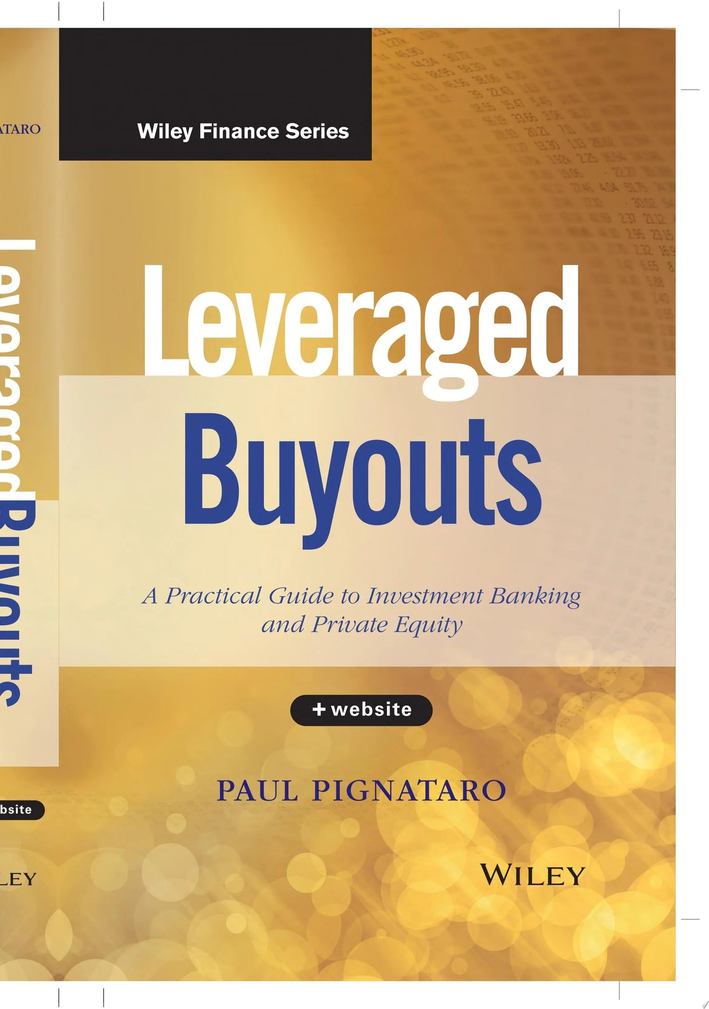 Leveraged Buyouts, + Website A Practical Guide to Investment Banking and Private Equity by Paul Pignataro – book cover