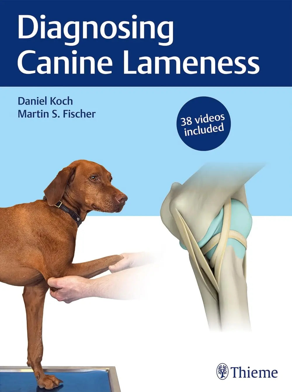 Diagnosing Canine Lameness by Daniel Koch – book cover