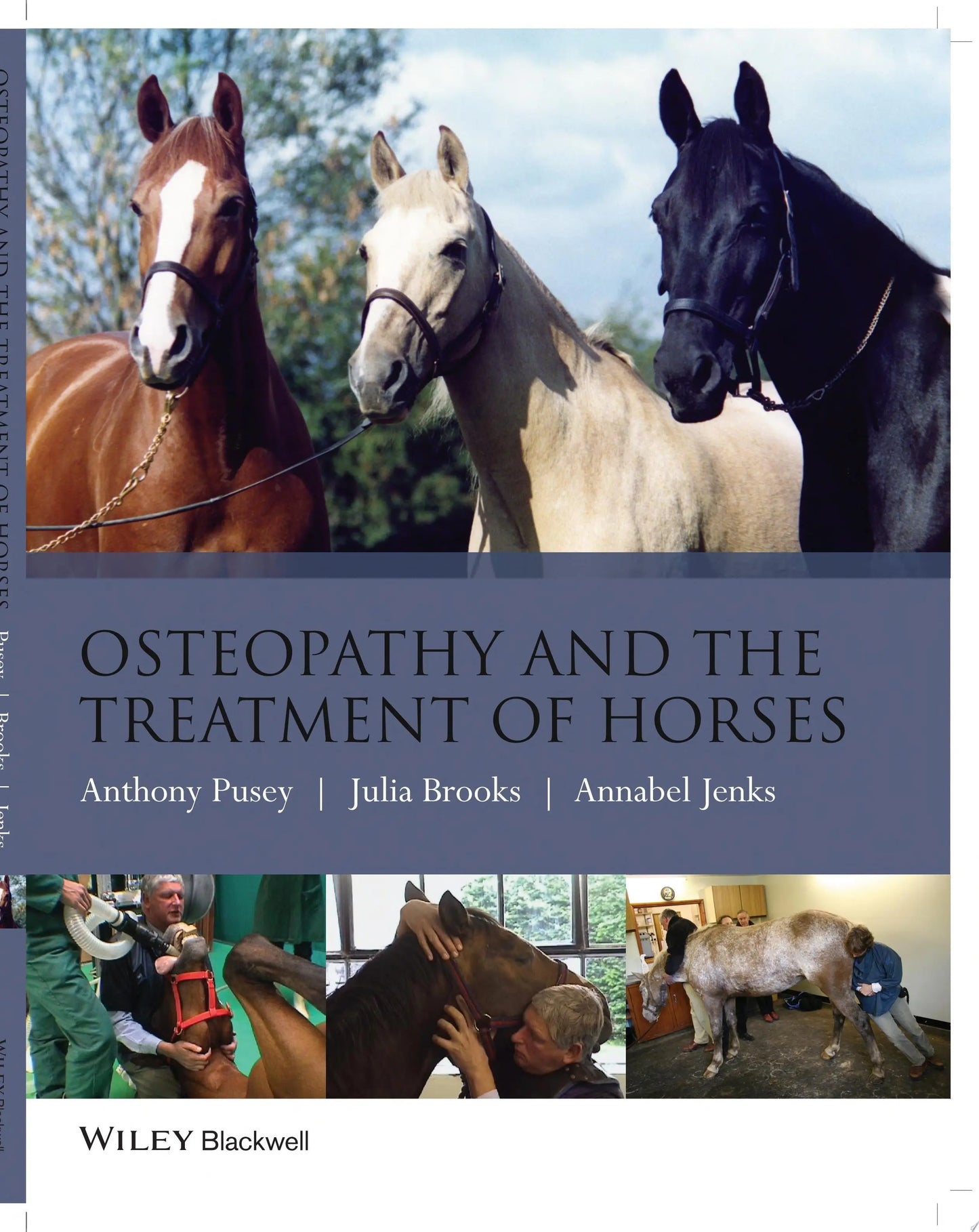 Osteopathy and the Treatment of Horses by Anthony Pusey – book cover