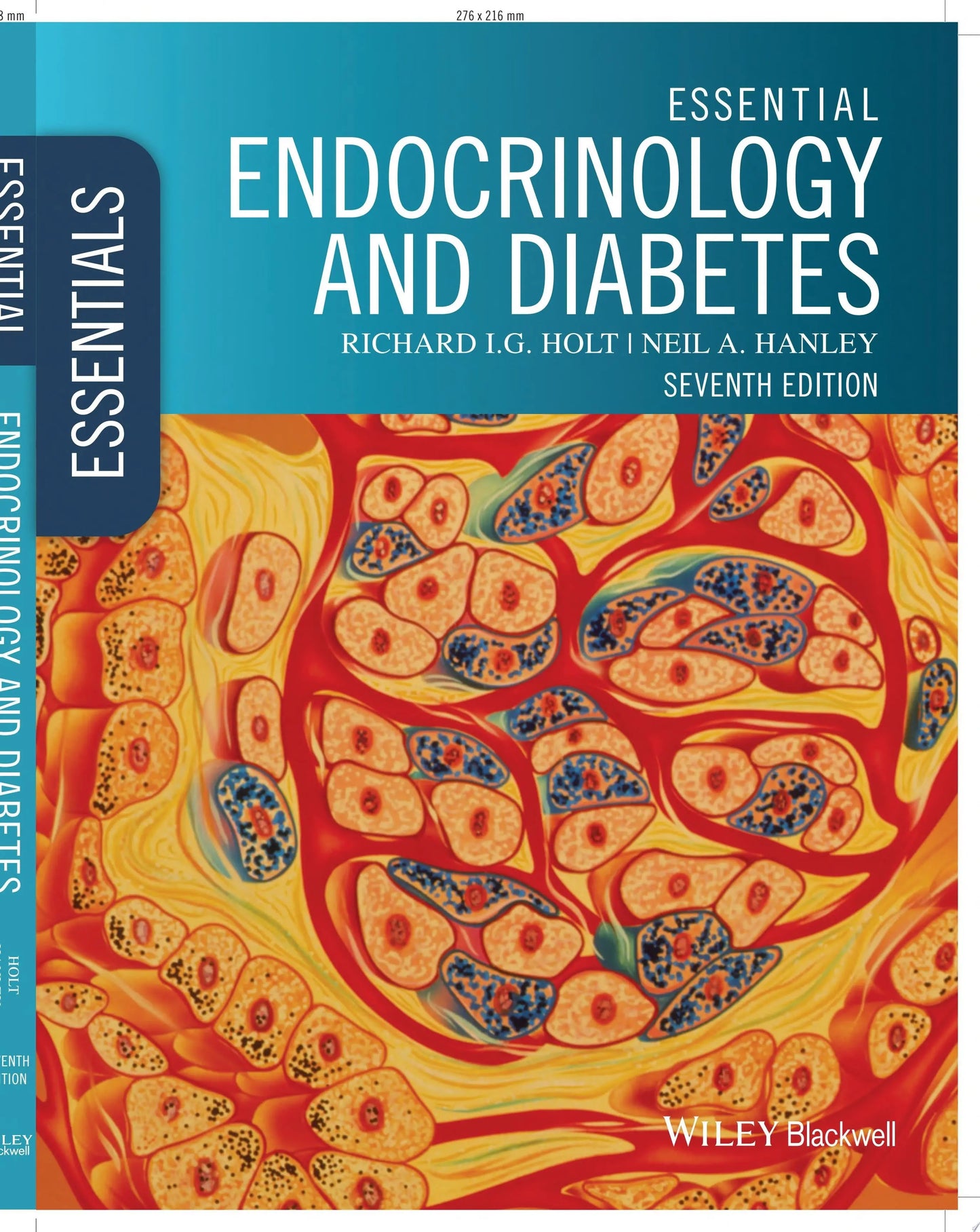Essential Endocrinology and Diabetes by Richard I. G. Holt – book cover