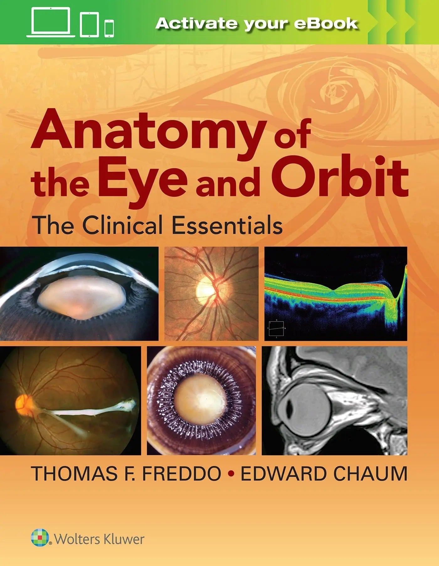 Anatomy of the Eye and Orbit The Clinical Essentials by Thomas F. Freddo – book cover