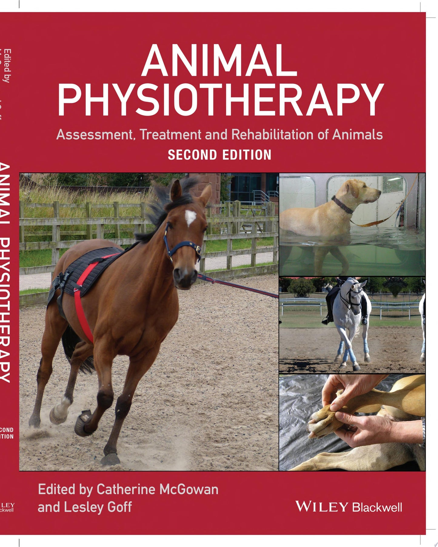 Animal Physiotherapy Assessment, Treatment and Rehabilitation of Animals John Wiley & Sons