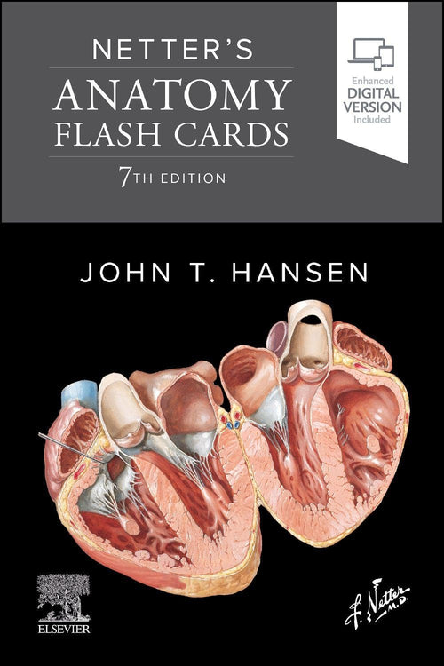 Netter's Anatomy Flash Cards by Hansen PhD