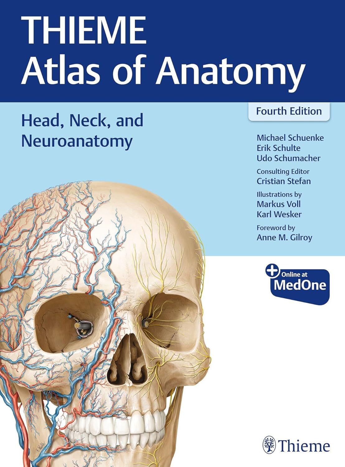 Head, Neck, and Neuroanatomy (THIEME Atlas of Anatomy) by Michael Schuenke