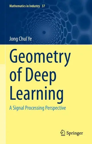 Geometry of Deep Learning A Signal Processing Perspective Springer Nature Singapore