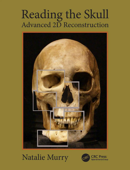 Reading the Skull Advanced 2D Reconstruction by Natalie Murry