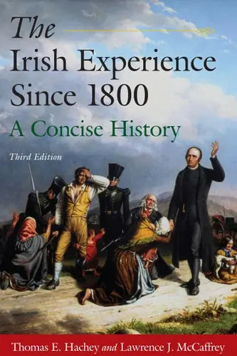 The Irish Experience Since 1800 A Concise History