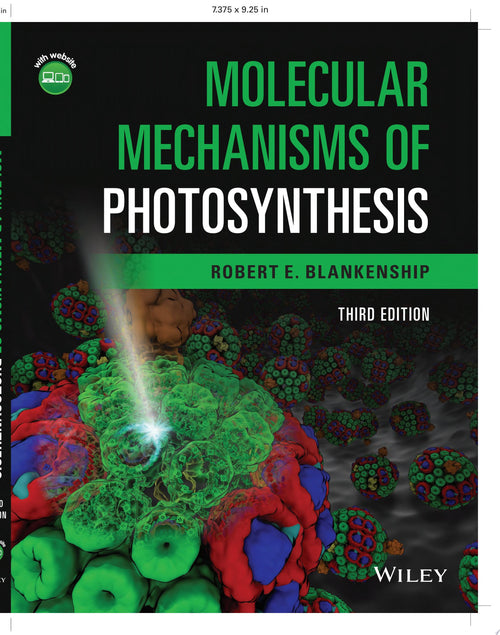 Molecular Mechanisms of Photosynthesis