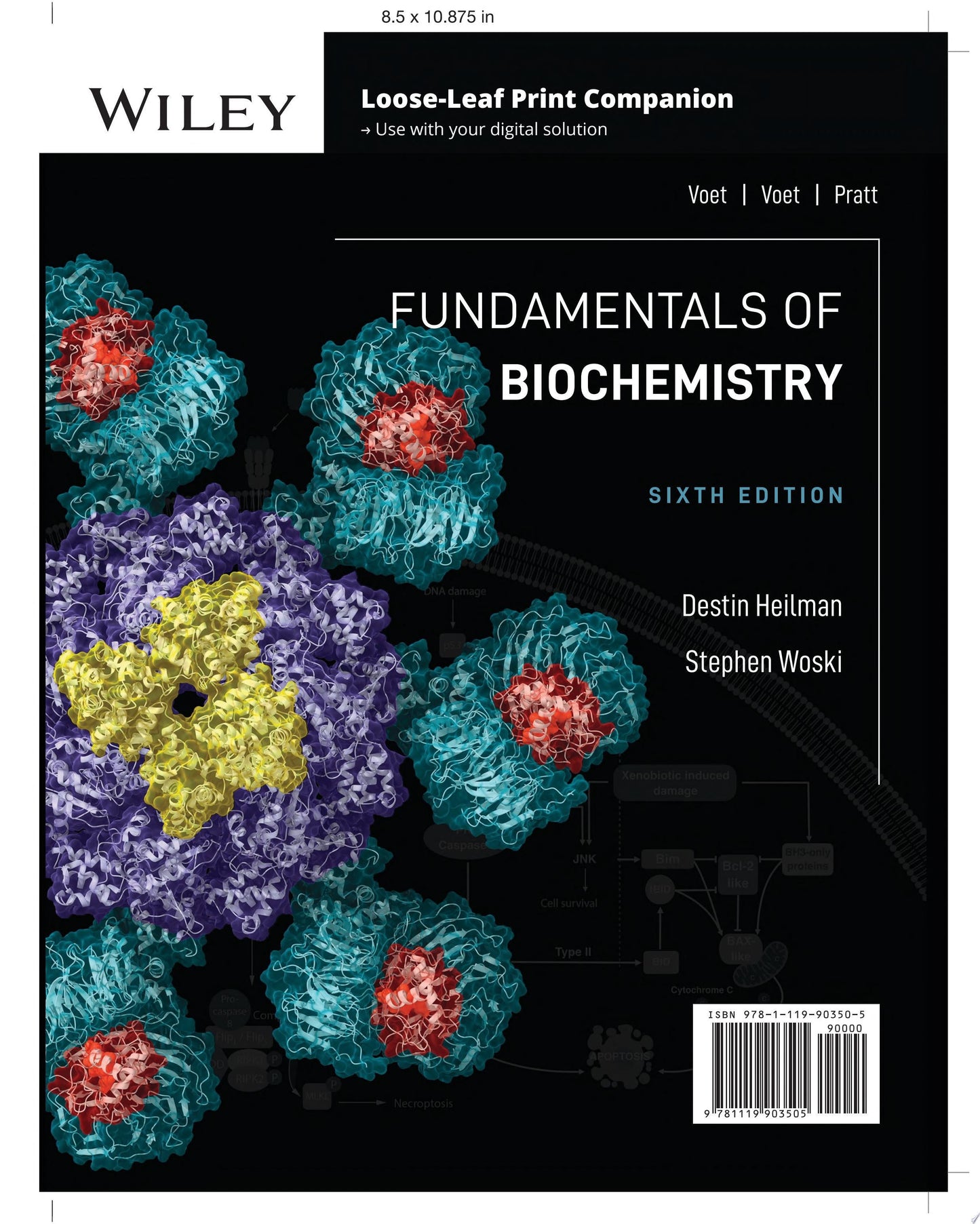 Fundamentals of Biochemistry John Wiley & Sons