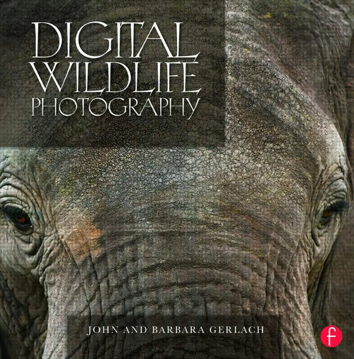 Digital Wildlife Photography by John Gerlach