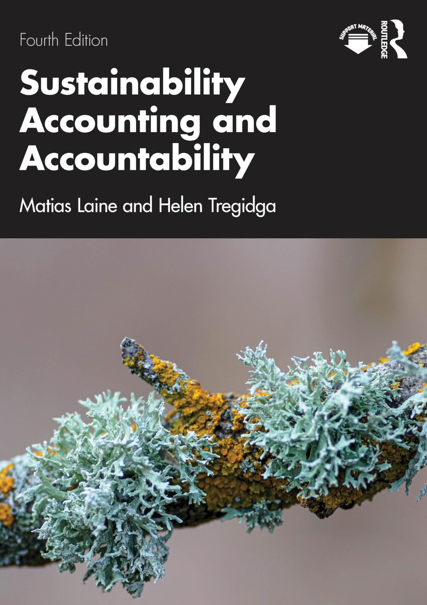 Sustainability Accounting and Accountability by Matias Laine