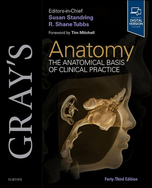 Gray's Anatomy The Anatomical Basis of Clinical Practice by Susan Standring
