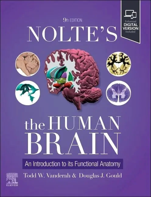 Nolte's the Human Brain An Introduction to Its Functional Anatomy by Todd W. Vanderah