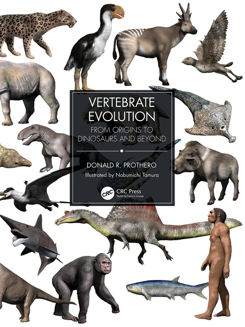 Vertebrate Evolution From Origins to Dinosaurs and Beyond by Donald R. Prothero