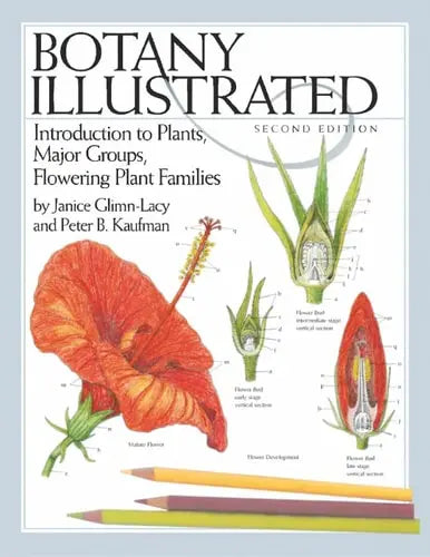 Botany Illustrated Introduction to Plants, Major Groups, Flowering Plant Families by Janice Glimn-Lacy