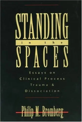 Standing in the Spaces Essays on Clinical Process Trauma and Dissociation Analytic Press
