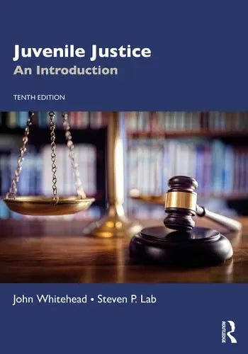 Juvenile Justice An Introduction Routledge