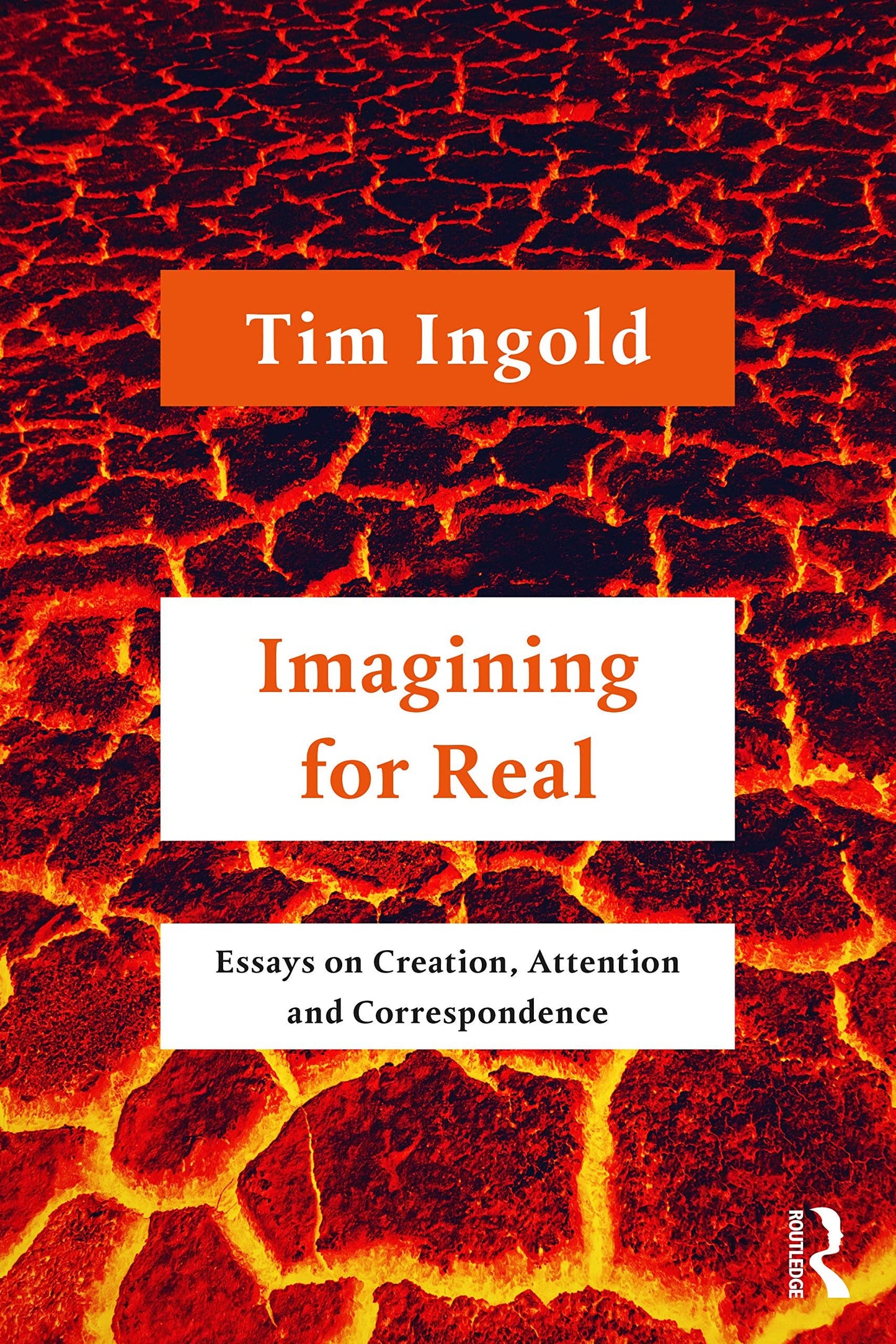 Imagining for Real Essays on Creation, Attention and Correspondence Routledge
