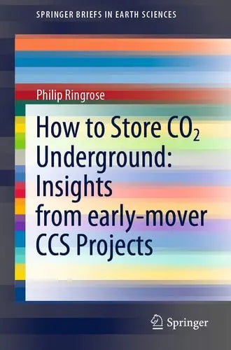 How to Store CO2 Underground: Insights from early-mover CCS Projects Springer International Publishing