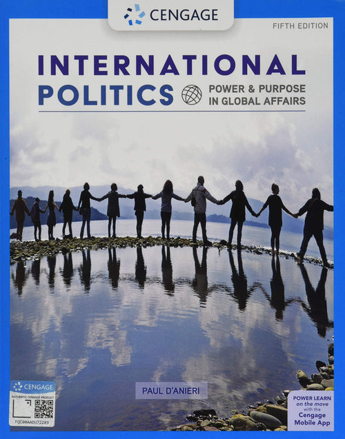 International Politics: Power and Purpose in Global Affairs by Paul D'Anieri