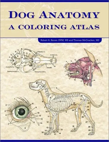 Dog Anatomy A Coloring Atlas