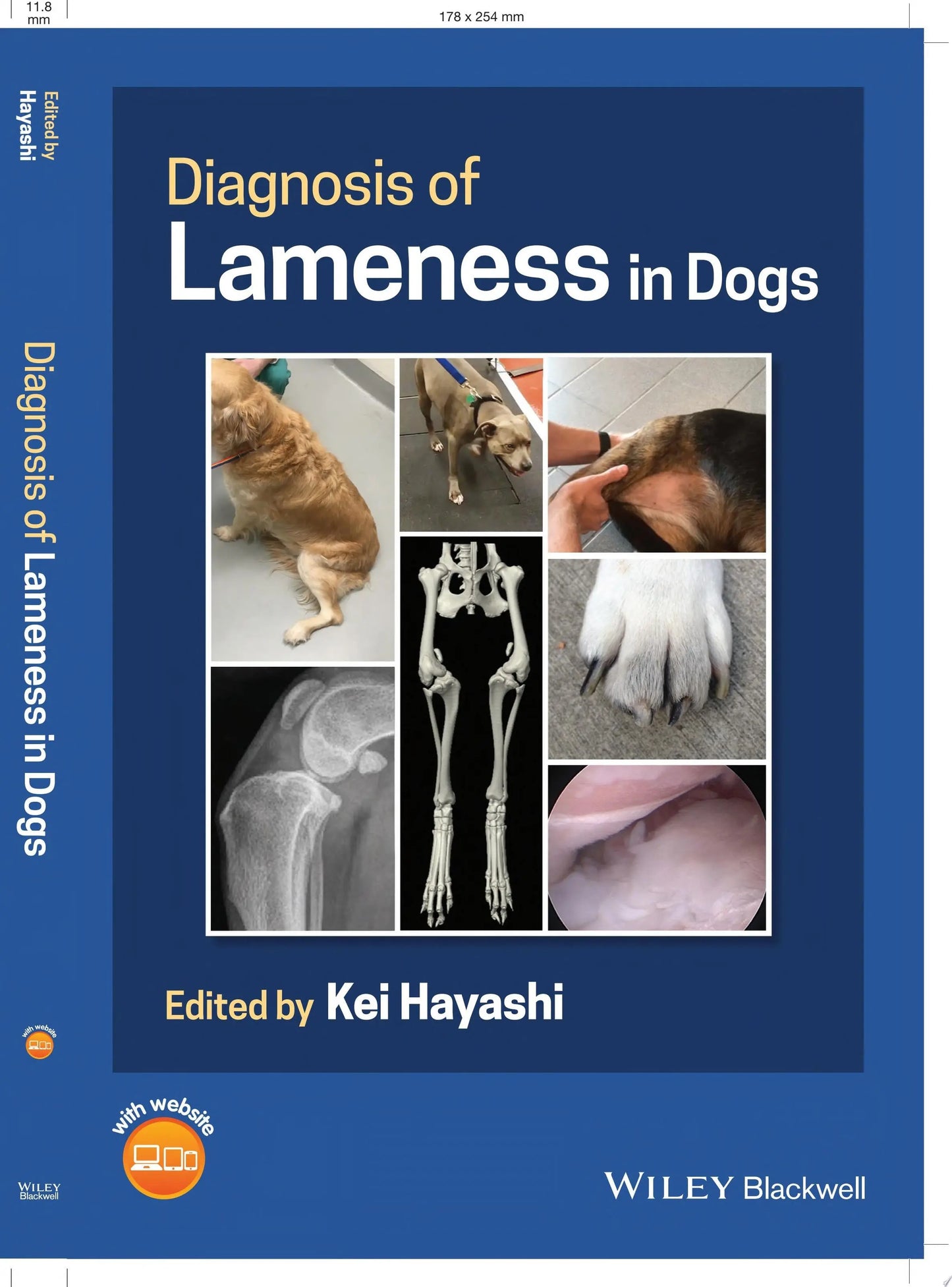 Diagnosis of Lameness in Dogs