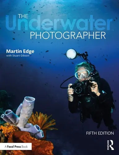 The Underwater Photographer Routledge
