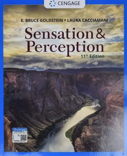 Sensation and Perception by E. Bruce Goldstein