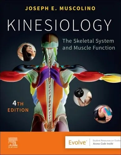 Kinesiology The Skeletal System and Muscle Function Elsevier