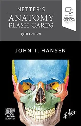 Netter's Anatomy Flash Cards Elsevier Health Sciences