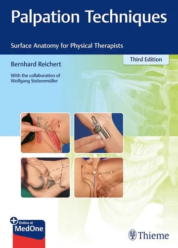 Palpation Techniques Surface Anatomy for Physical Therapists Thieme